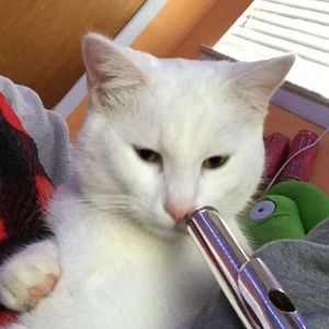 Meet your Posher, Ruby